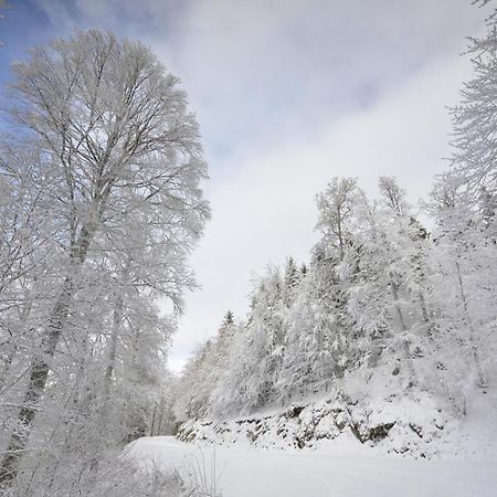 Gite Face Au Vercors Villa Marches Kültér fotó