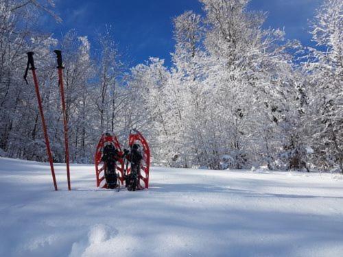 Gite Face Au Vercors Villa Marches Kültér fotó