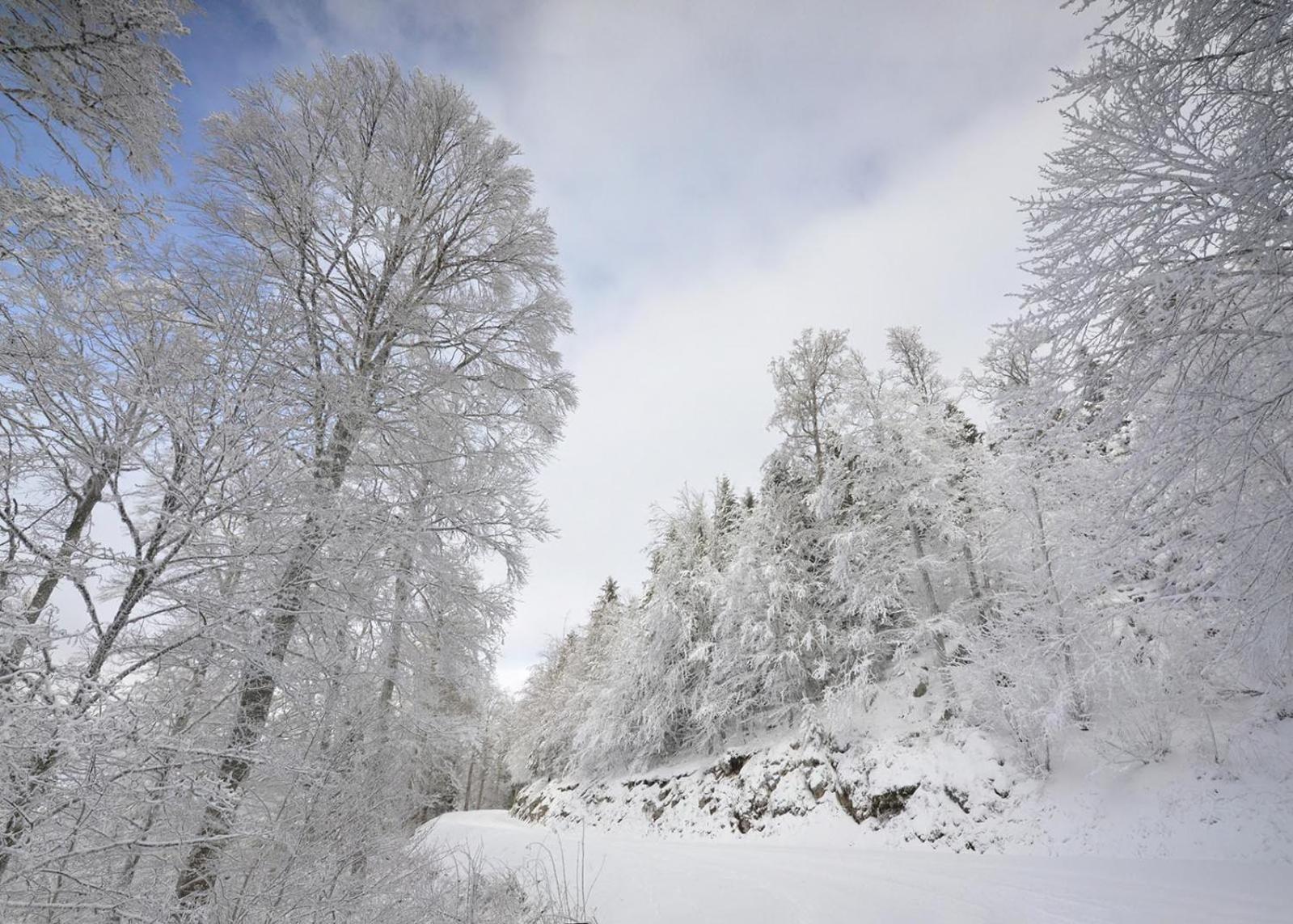 Gite Face Au Vercors Villa Marches Kültér fotó