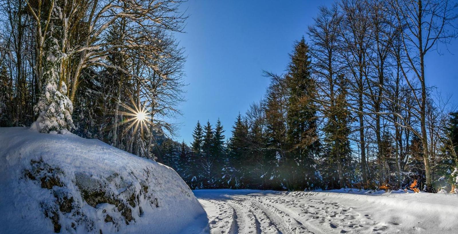 Gite Face Au Vercors Villa Marches Kültér fotó